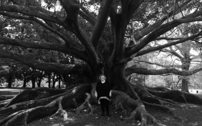 2016: The Year I Was Blindsided!