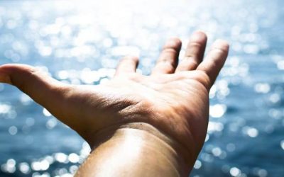 I’m an Employee, Get Me Out of Here!