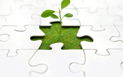 From Blindside to Business Growth